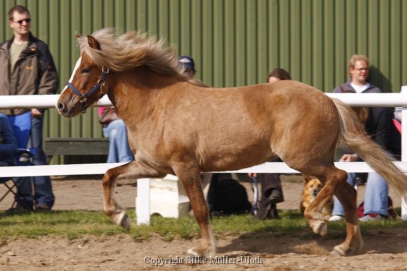 Hryssa von Heidmoor (13).JPG